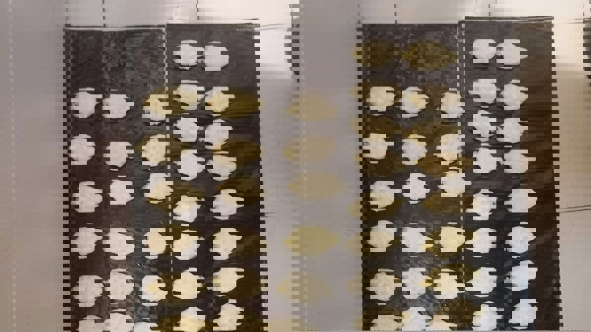 الأردن يحبط تهريب كوكايين داخل أحشاء مسافر من أمريكا الجنوبية