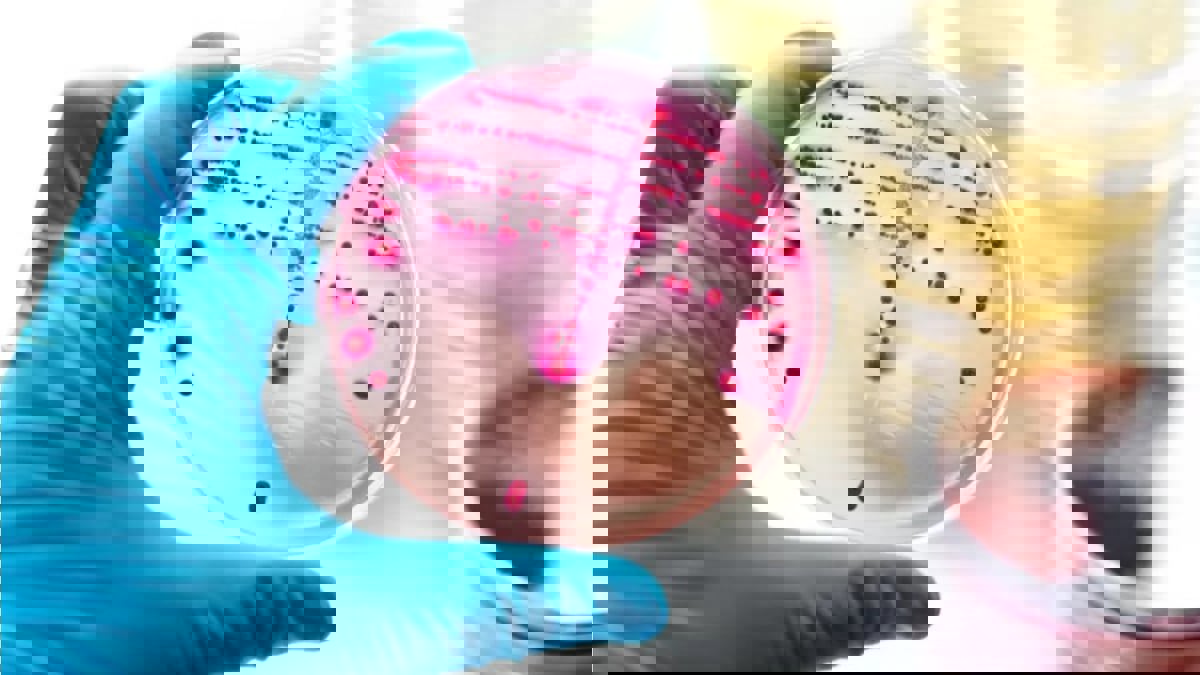 دراسة: زرع "البكتيريا الجيدة" في المنازل يعزز صحة الأطفال