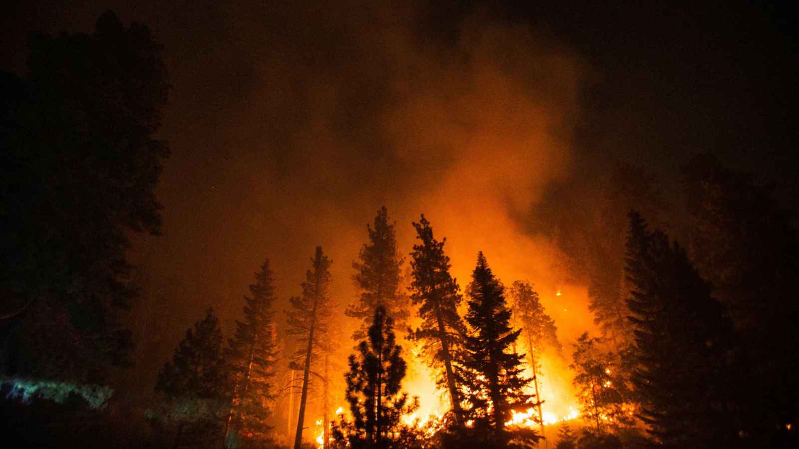 حريق "باليساديس".. التهديد الأكبر بين حرائق الغابات في لوس أنجلوس