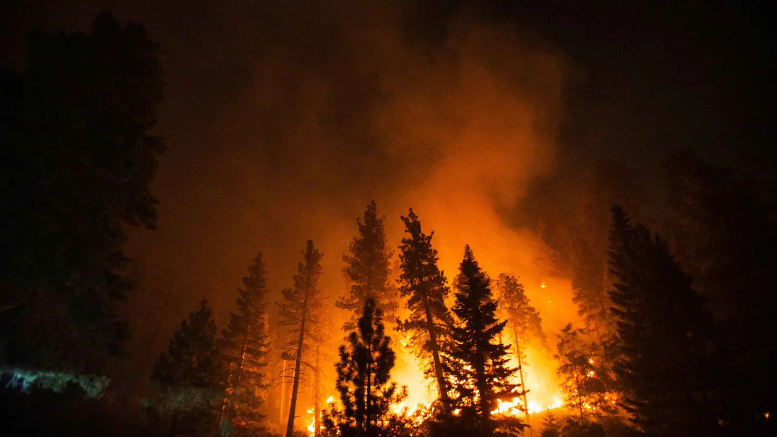 حريق "باليساديس".. التهديد الأكبر بين حرائق الغابات في لوس أنجلوس