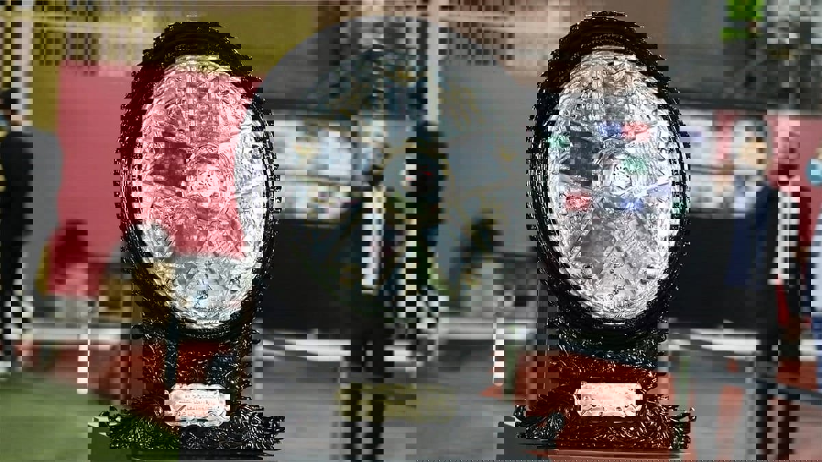 الكشف عن شكل درع الدوري المصري الجديد (شاهد)