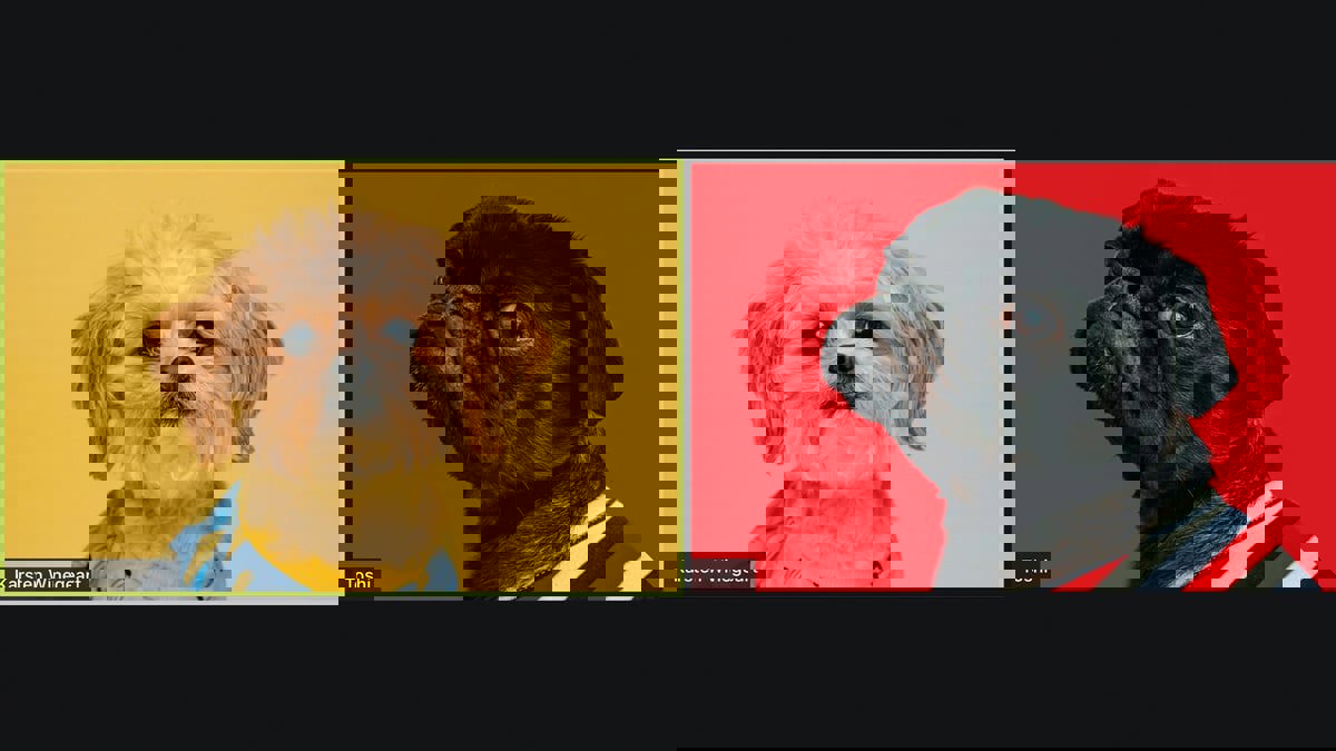 "زووم" يتيح ميزة استخدام نماذج حيوانات ثلاثية الأبعاد أثناء الاجتماعات