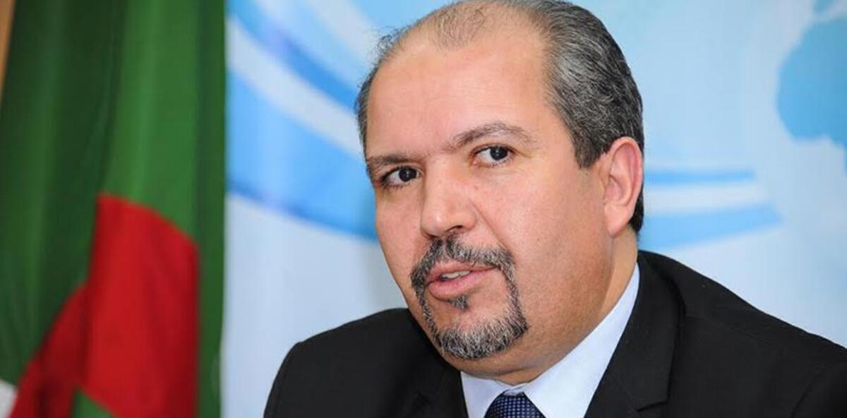 تداعيات فتوى "فركوس".. الجزائر تهدّد بجرّ شيخ السلفيين إلى المساءلة