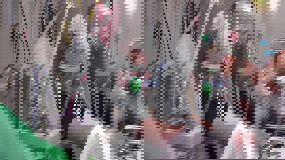 مسؤول صحي أمريكي يكشف تفاصيل بشأن عدوى كورونا وموعد القضاء عليه 