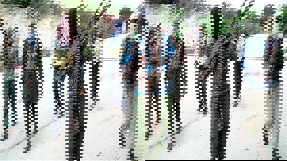 مسلحون يخطفون 317 طالبة في شمال غرب نيجيريا