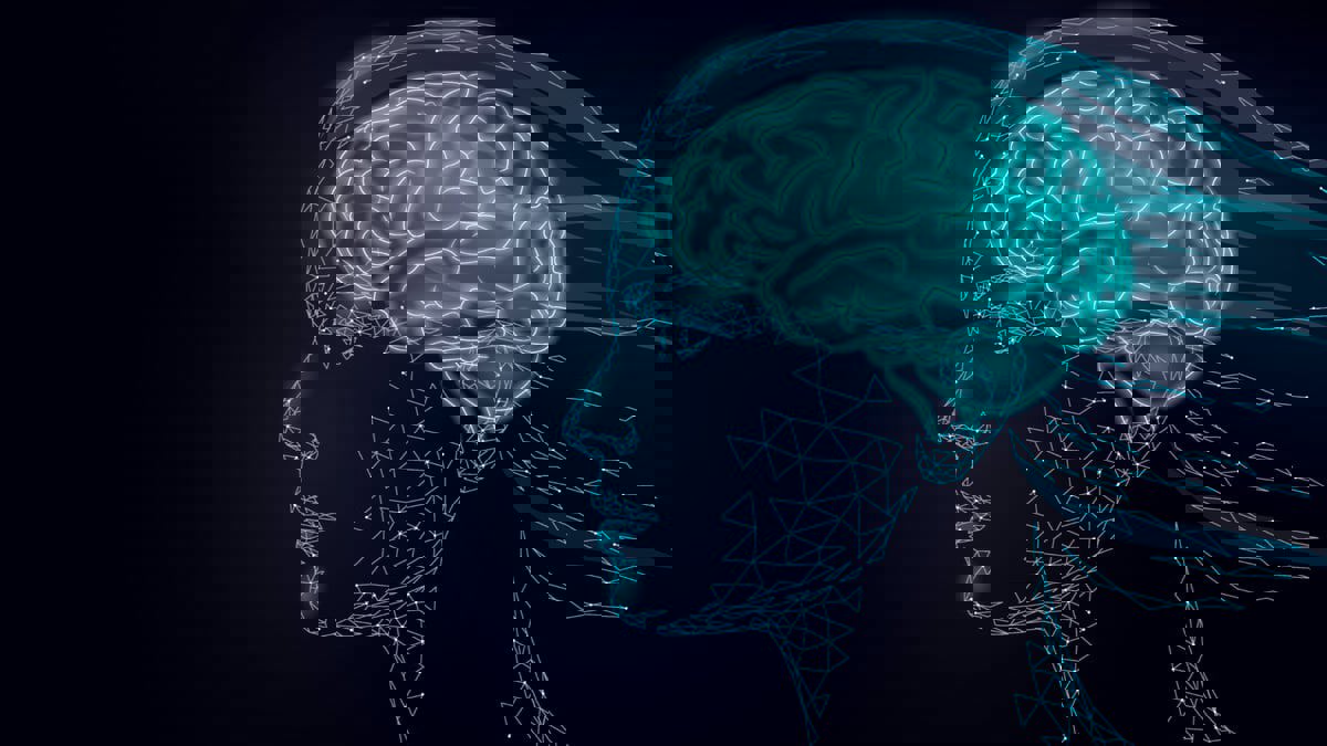 بنك الدماغ الافتراضي.. ثورة جديدة بمجال أبحاث الصرع والأورام
