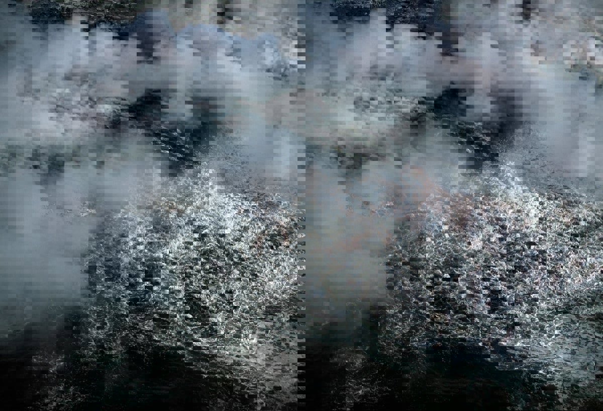 درجات الحرارة القياسية دمرت النظم البيئية في المحيطات