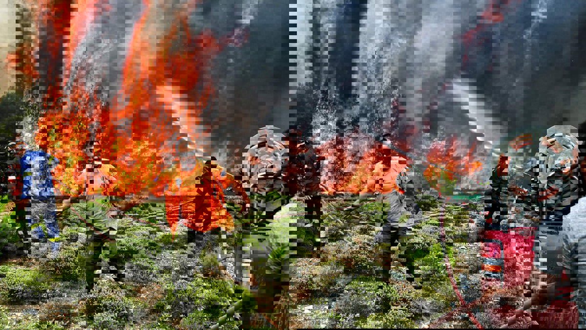 بعد 3 أيام.. تركيا تسيطر على حريق غابات دمر 11 ألف فدان