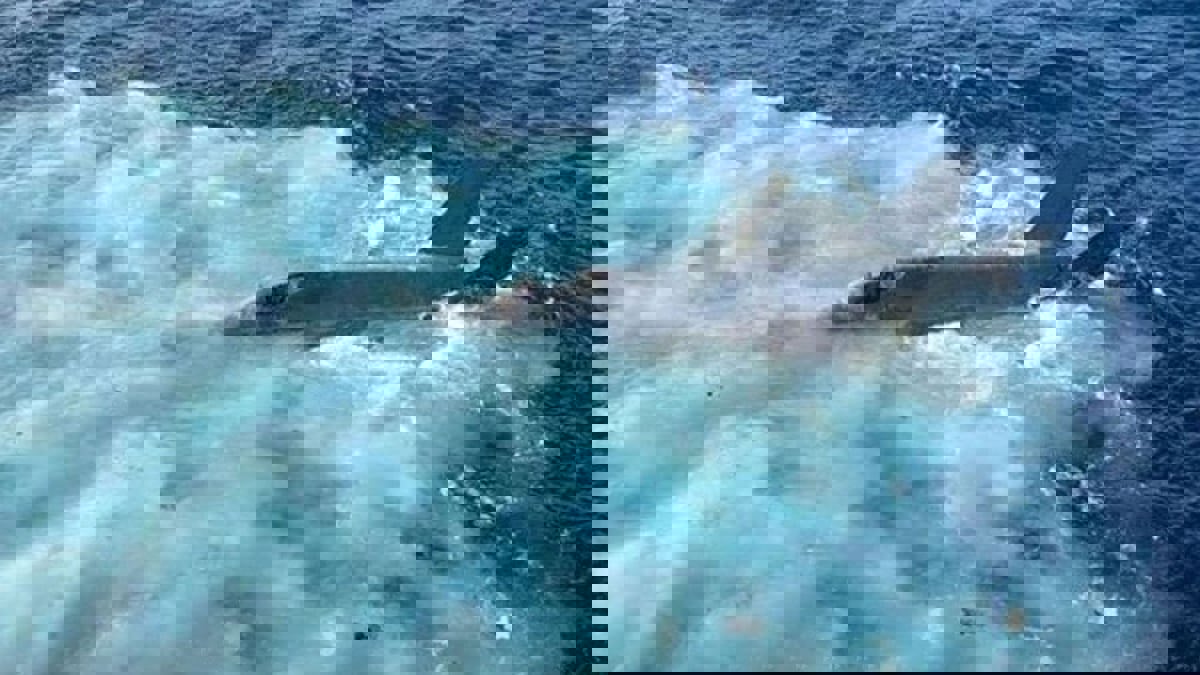 سقوط طائرة خاصة قبالة سواحل لاتفيا