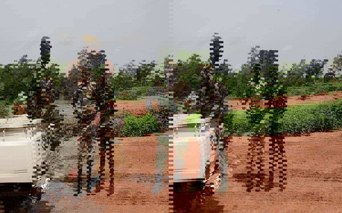 الجيش النيجري يعلن القضاء على 20 مسلحًا قرب حدود مالي 