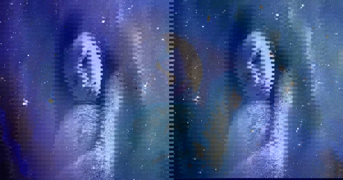 تتغير بتقدم السن.. خبراء يكشفون "أسرار الأحلام" 