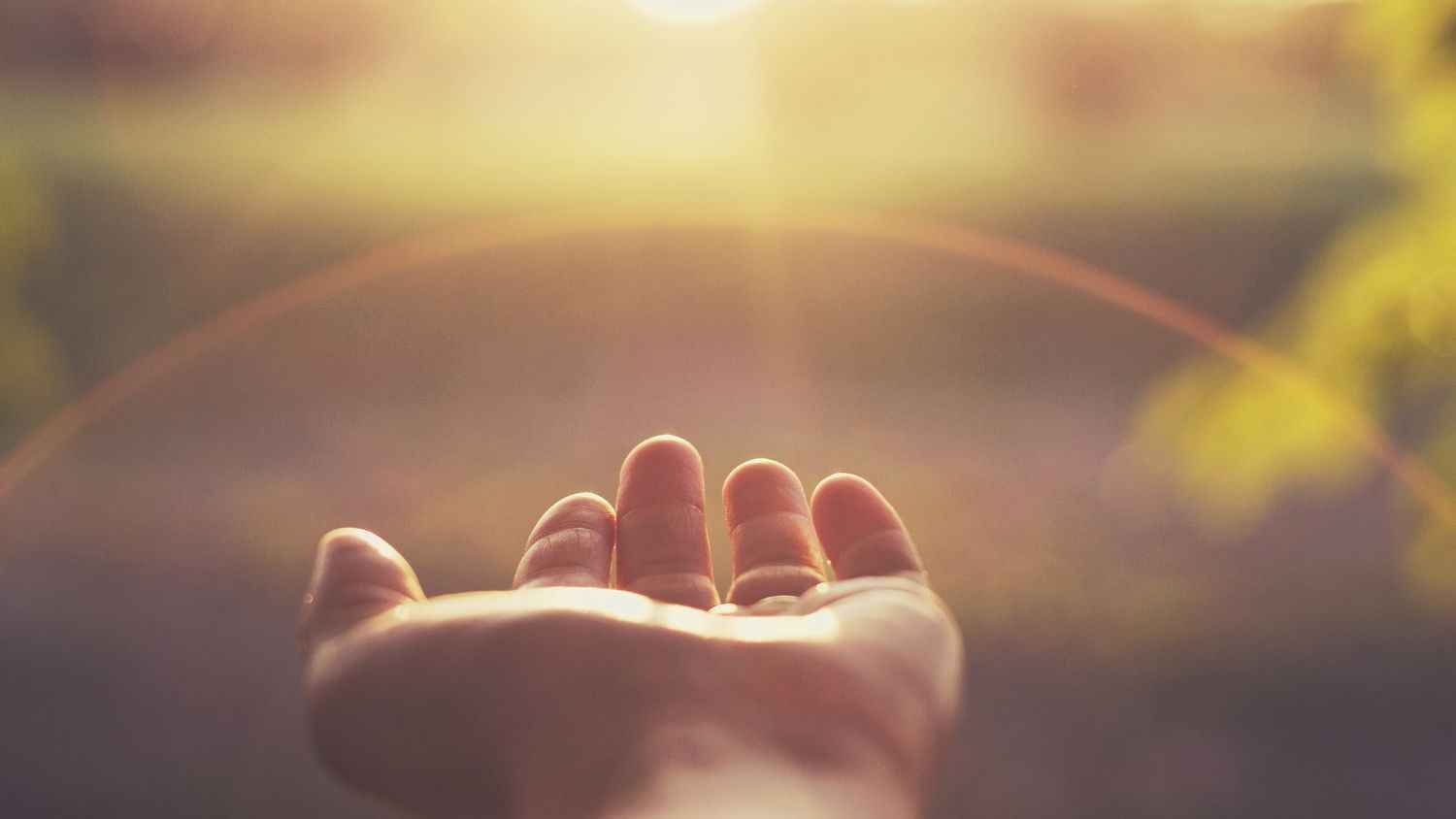 كيف تؤثر الساعة البيولوجية بكفاءة الجسم في مكافحة العدوى؟