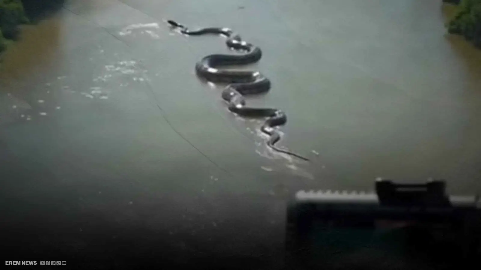 في قلب الأمازون.. "أناكوندا" تثير جدلا واسعا بين الواقع والخيال