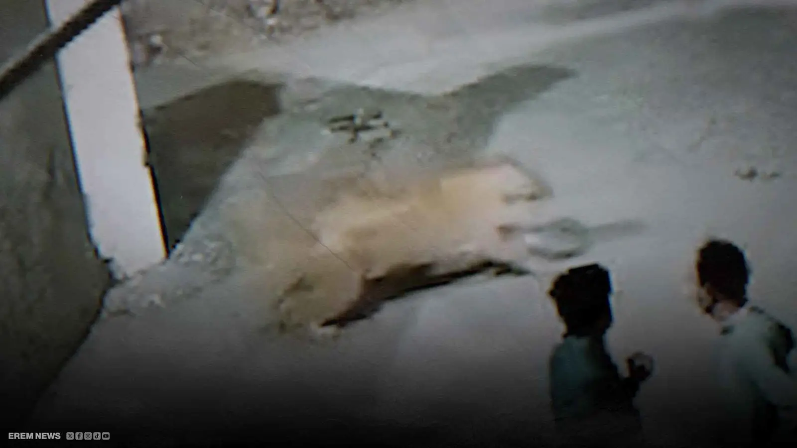 كابوس في بلدة باكستانية.. هجوم دموي لأسد في شارع سكني (فيديو إرم)