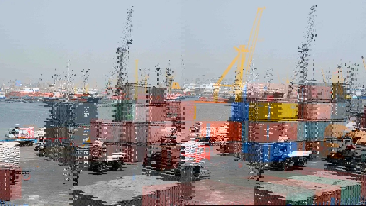 حقيقة تجول 3 أسود بميناء الإسكندرية المصري (صور)