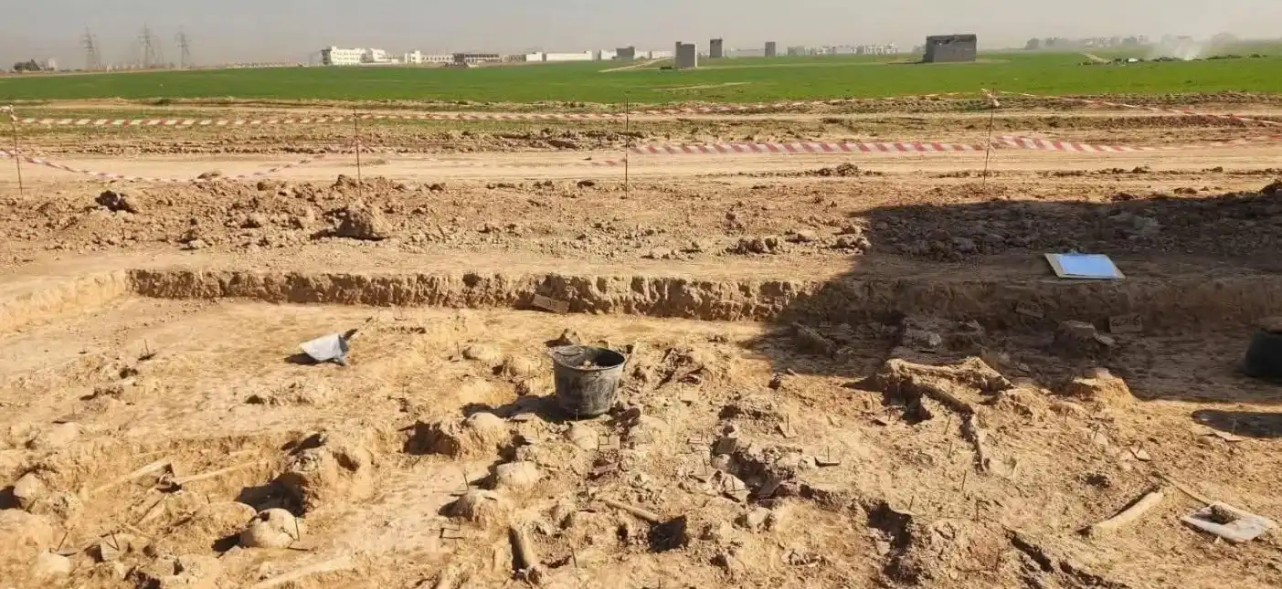 المقبرة المكتشفة