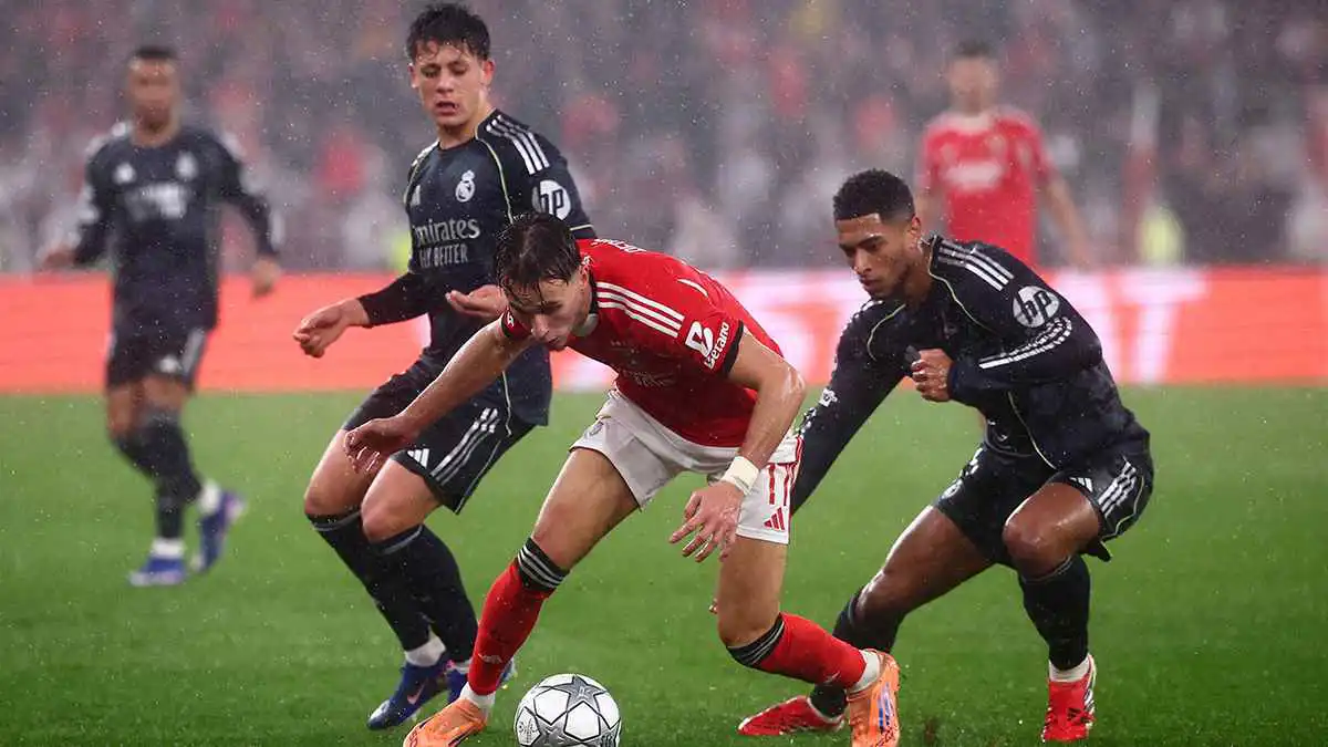 بث مباشر لمباراة ريال مدريد ضد بنفيكا بدوري أبطال أوروبا