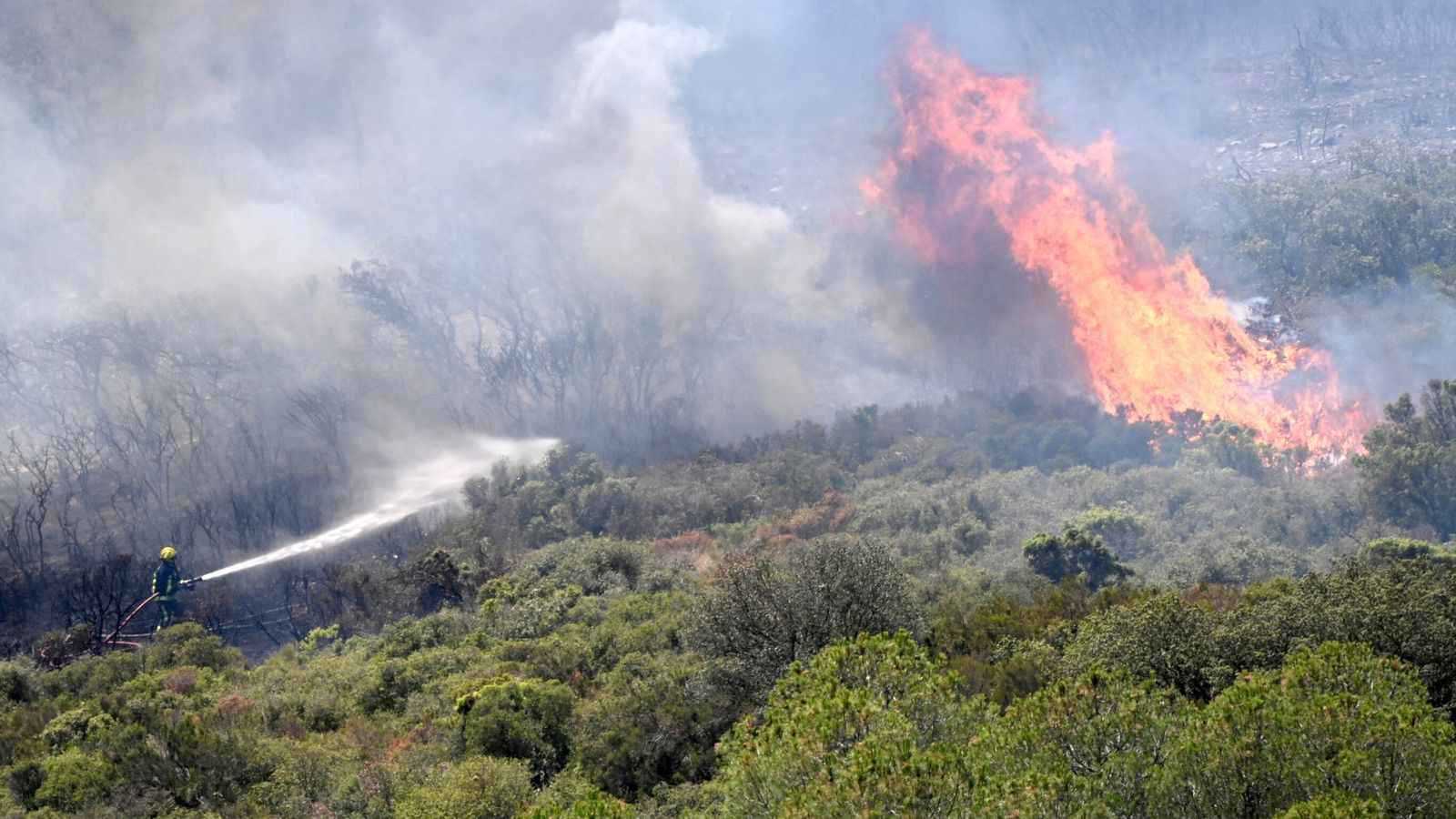 فرنسا.. النيران تحاصر غابات مارتينغ و800 رجل إطفاء لمواجهتها (صور)