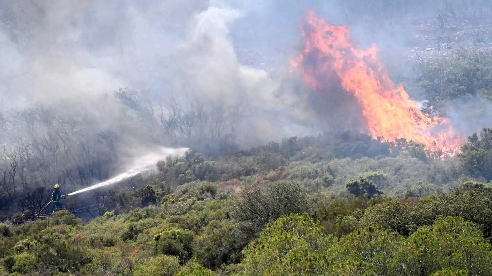فرنسا.. النيران تحاصر غابات مارتينغ و800 رجل إطفاء لمواجهتها (صور)