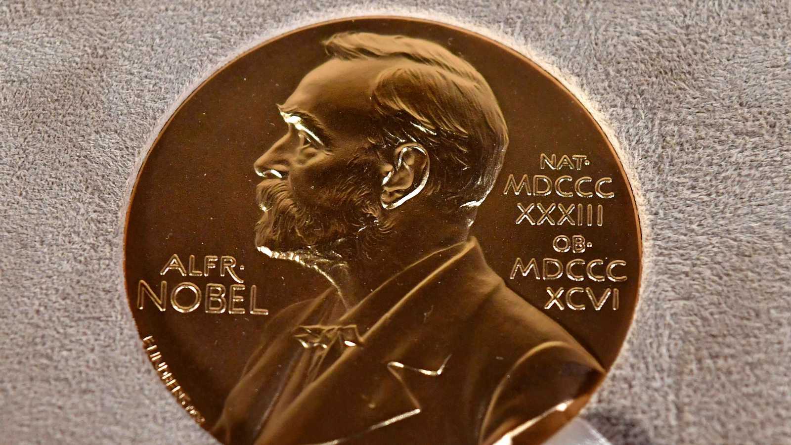 نوبل الطب 2025.. علماء يكشفون سر تحكم الجسم بالجهاز المناعي