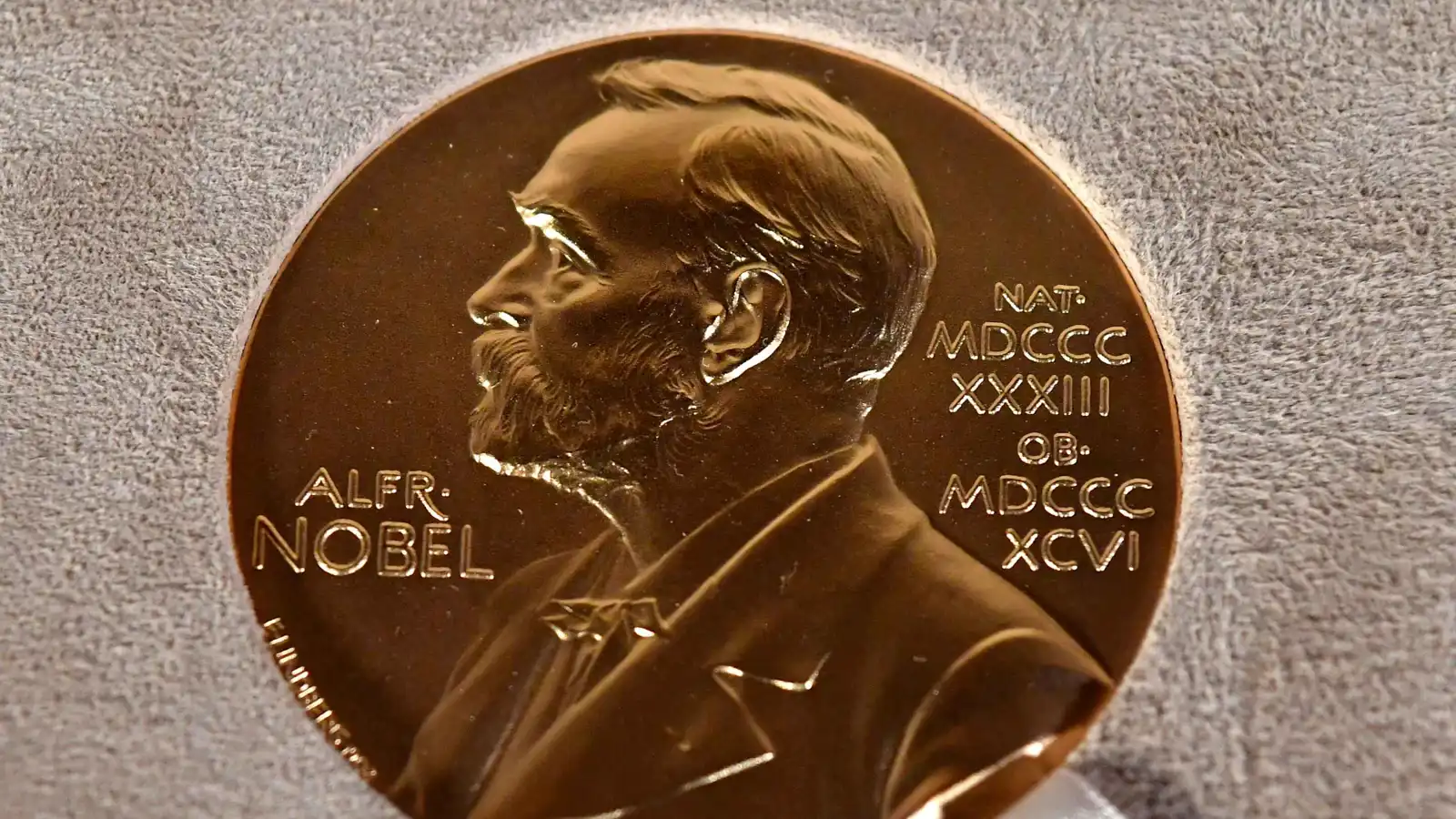 نوبل الطب 2025.. علماء يكشفون سر تحكم الجسم بالجهاز المناعي