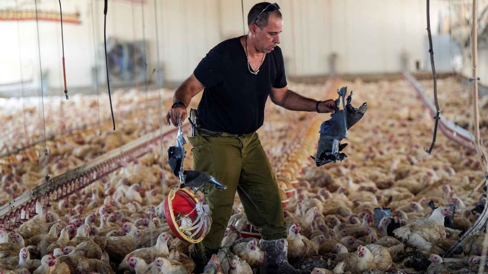 "استهداف الدجاج".. سخرية واسعة من رد "حزب الله" على اغتيال شكر