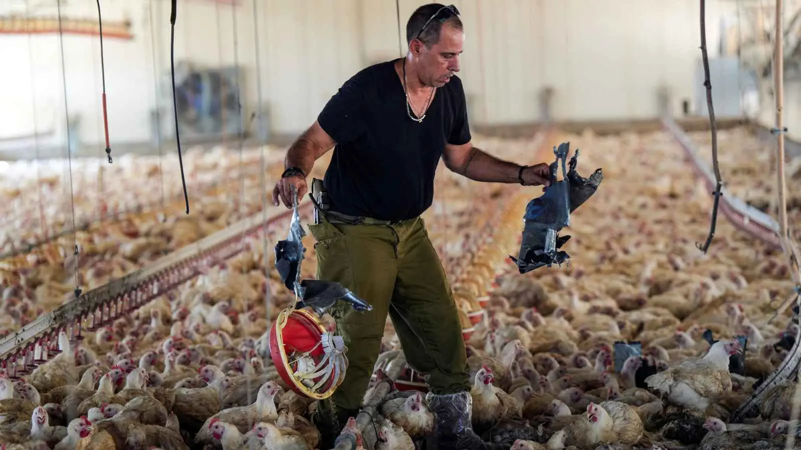 "استهداف الدجاج".. سخرية واسعة من رد "حزب الله" على اغتيال شكر