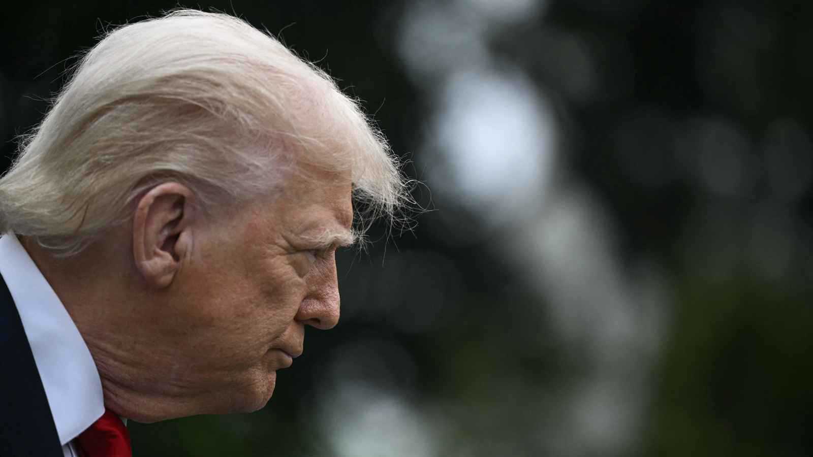 "مقابل الربع".. ترامب يفتح باب تصدير الرقائق إلى الصين