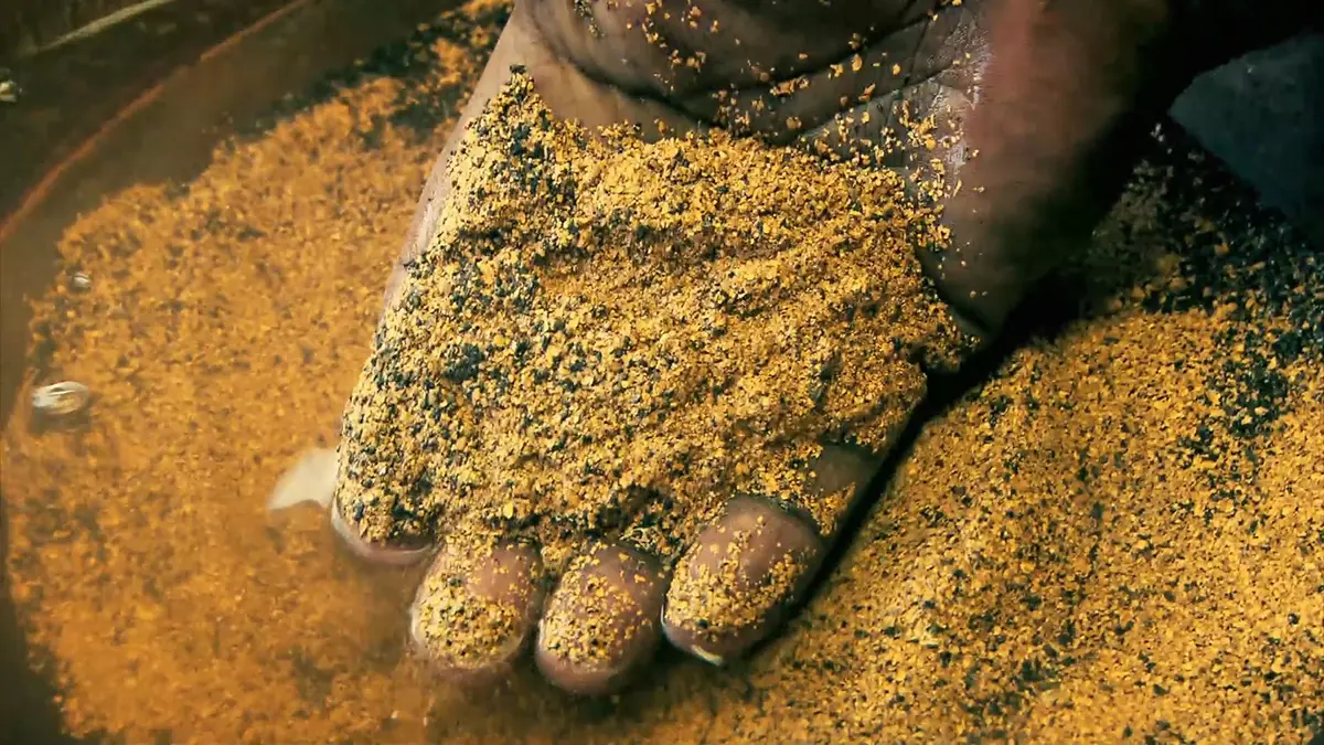 مصر.. القبض على 17 شخصًا بتهمة التنقيب عن الذهب