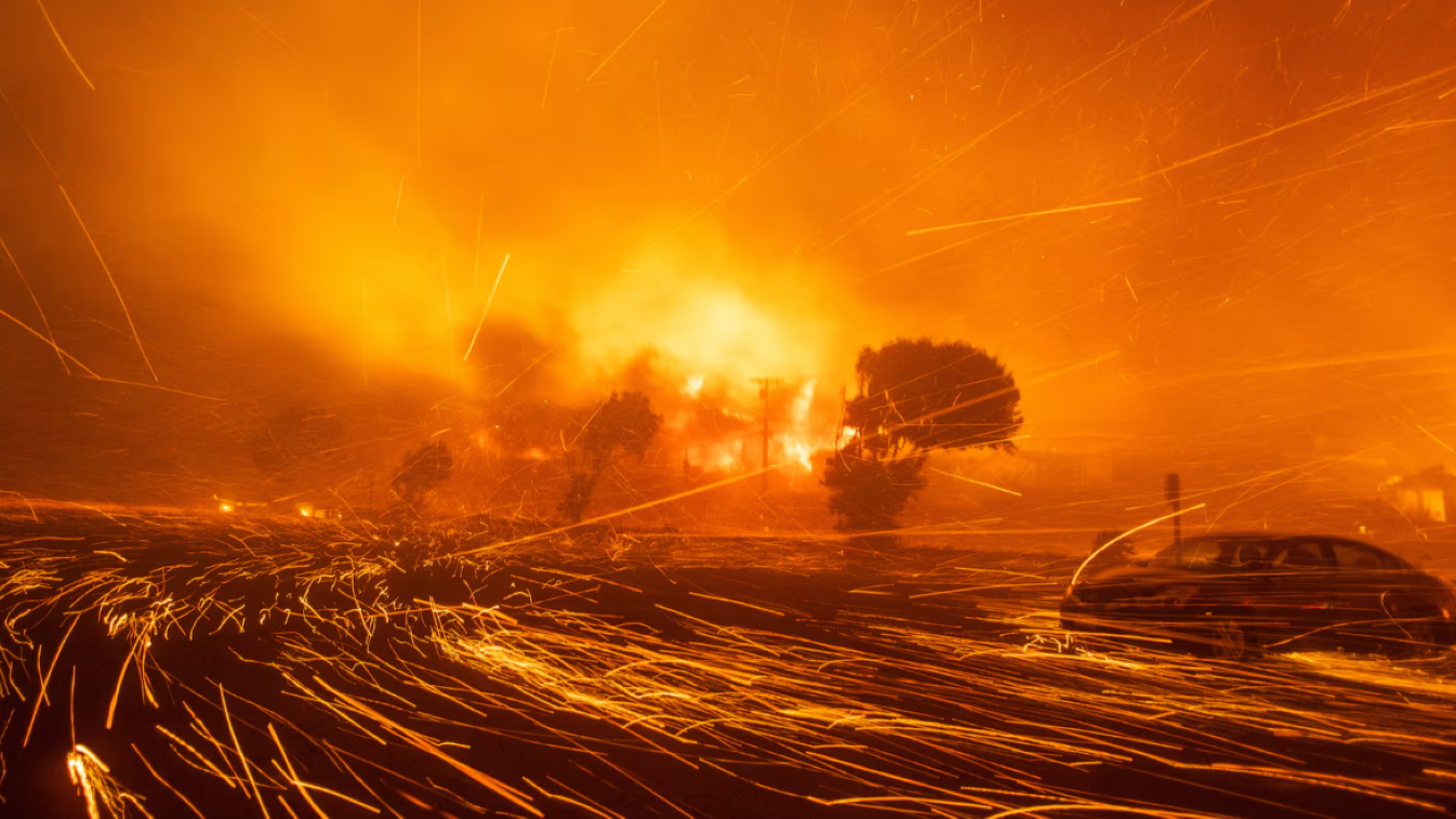 كيف أشعلت رياح الشتاء الحرائق في كاليفورنيا؟ (فيديو)