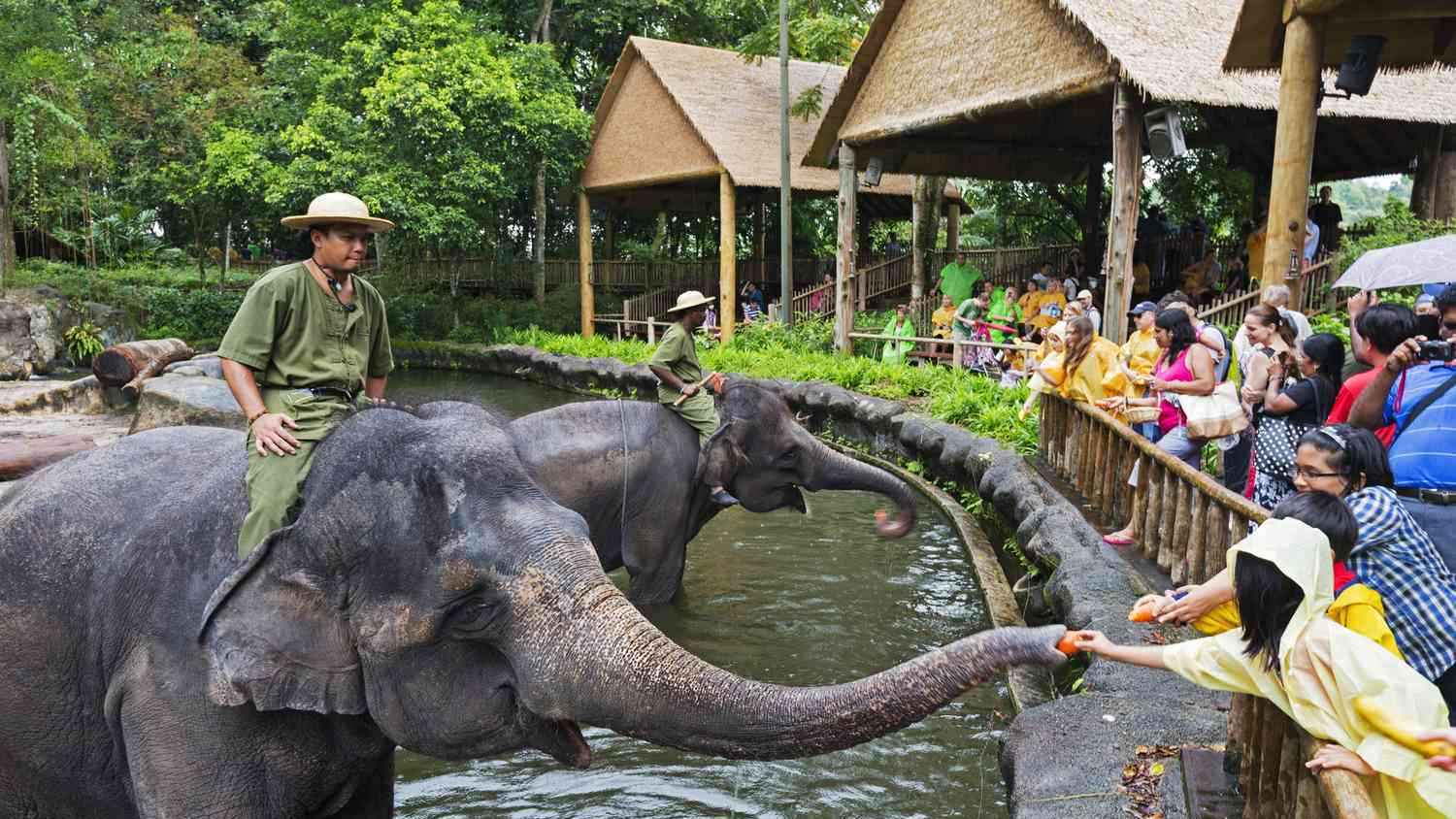 سحر "السياحة الشاطئية".. هذه أجمل الوجهات في سنغافورة (صور)