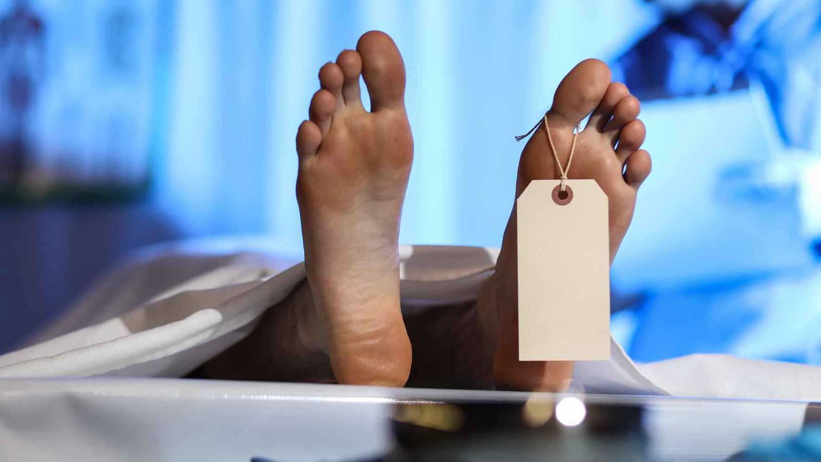 "لموت مستدام".. طرح تابوت قابل للتحلل خلال 45 يوما (صور)