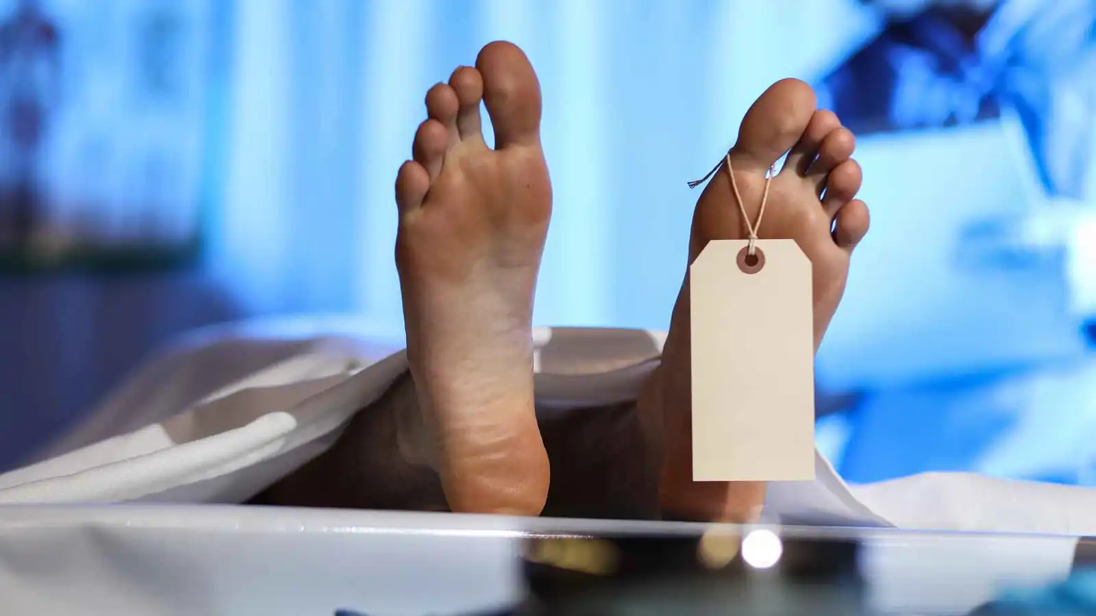 "لموت مستدام".. طرح تابوت قابل للتحلل خلال 45 يوما (صور)