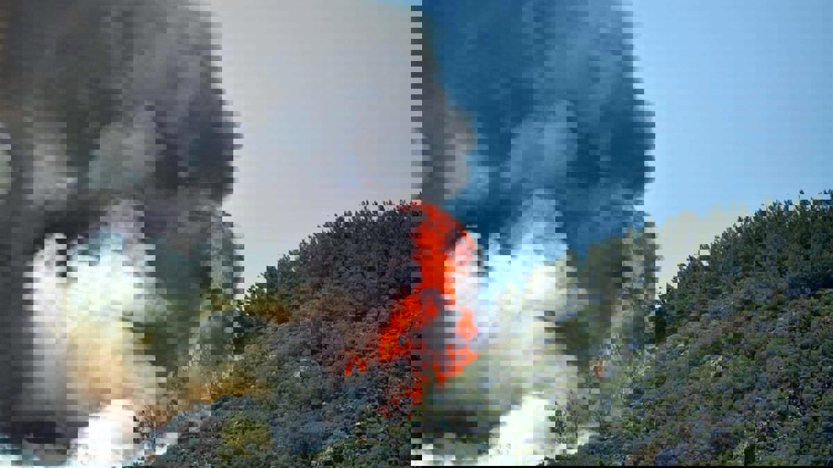 قبرص تطلب مساعدة إسرائيل والاتحاد الأوروبي لإخماد حرائق غابات