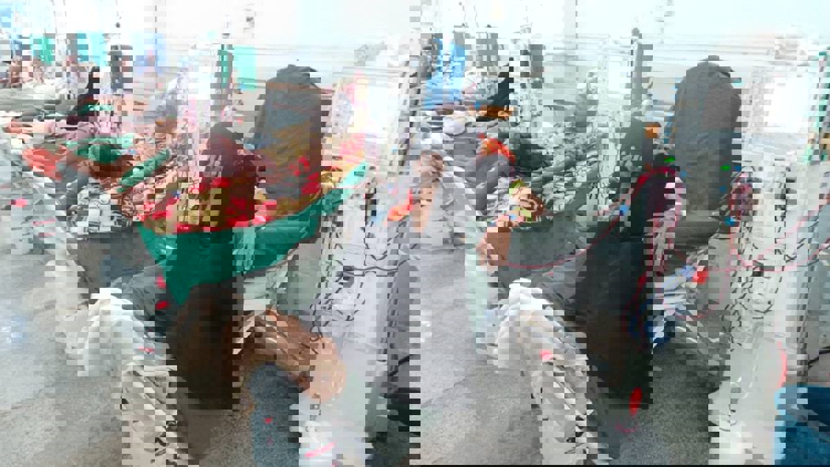 للمرة الأولى في اليمن.. ظهور فيروس "غرب النيل" في تعز