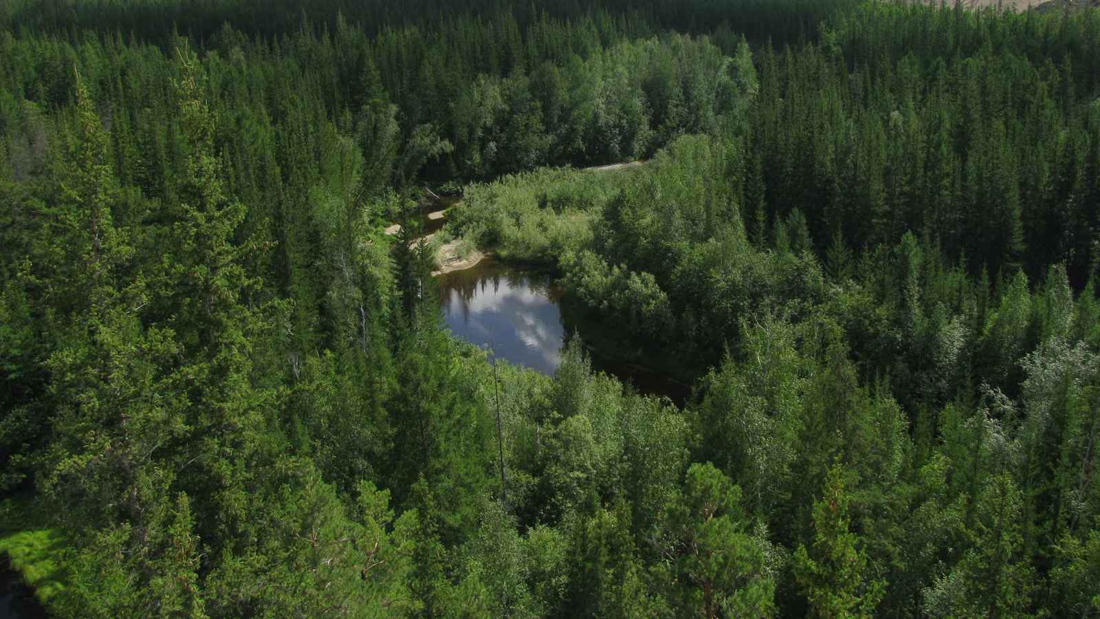 اختفاء طائرة على متنها 5 ركاب في غابات سيبيريا