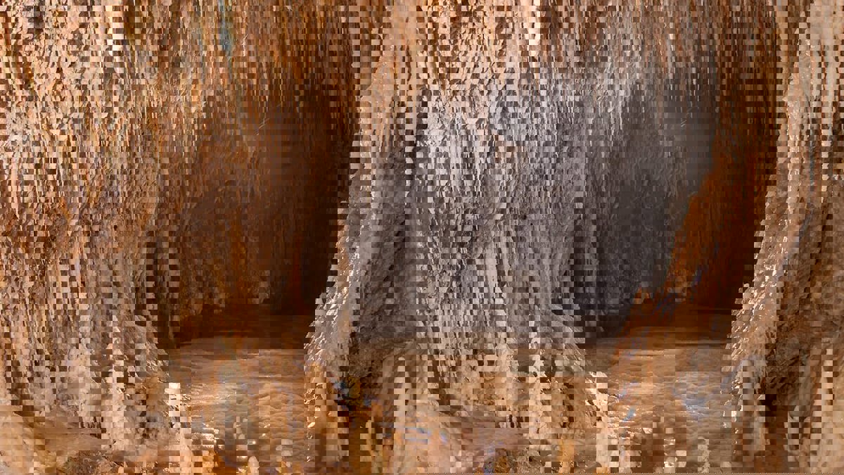 "مغارة عين الذهب" في تونس.. مزار طبيعي ومقصد سياحي 
