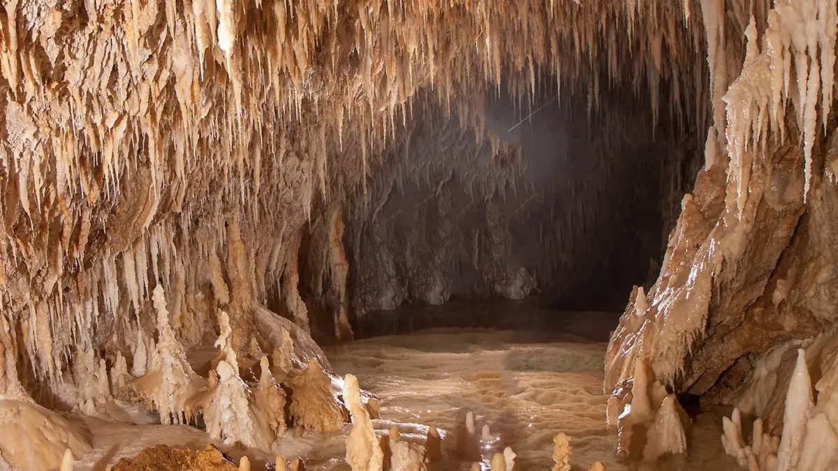 "مغارة عين الذهب" في تونس.. مزار طبيعي ومقصد سياحي 
