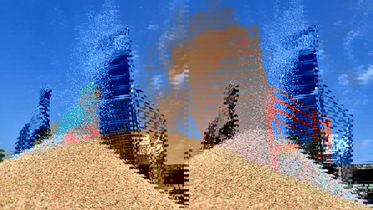 هل تفجر حرب أوكرانيا "تسونامي مجاعة" في أفريقيا والشرق الأوسط؟