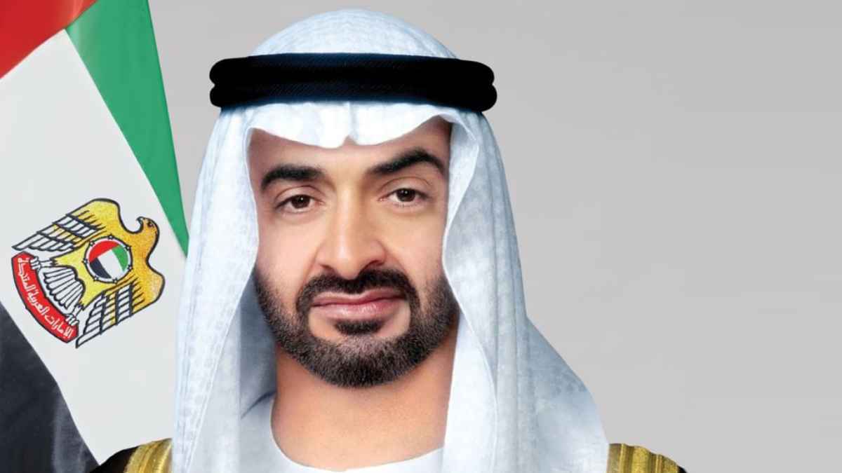 محمد بن زايد يبحث مع رئيس الوزراء اليمني تعزيز العلاقات الثنائية (فيديو)