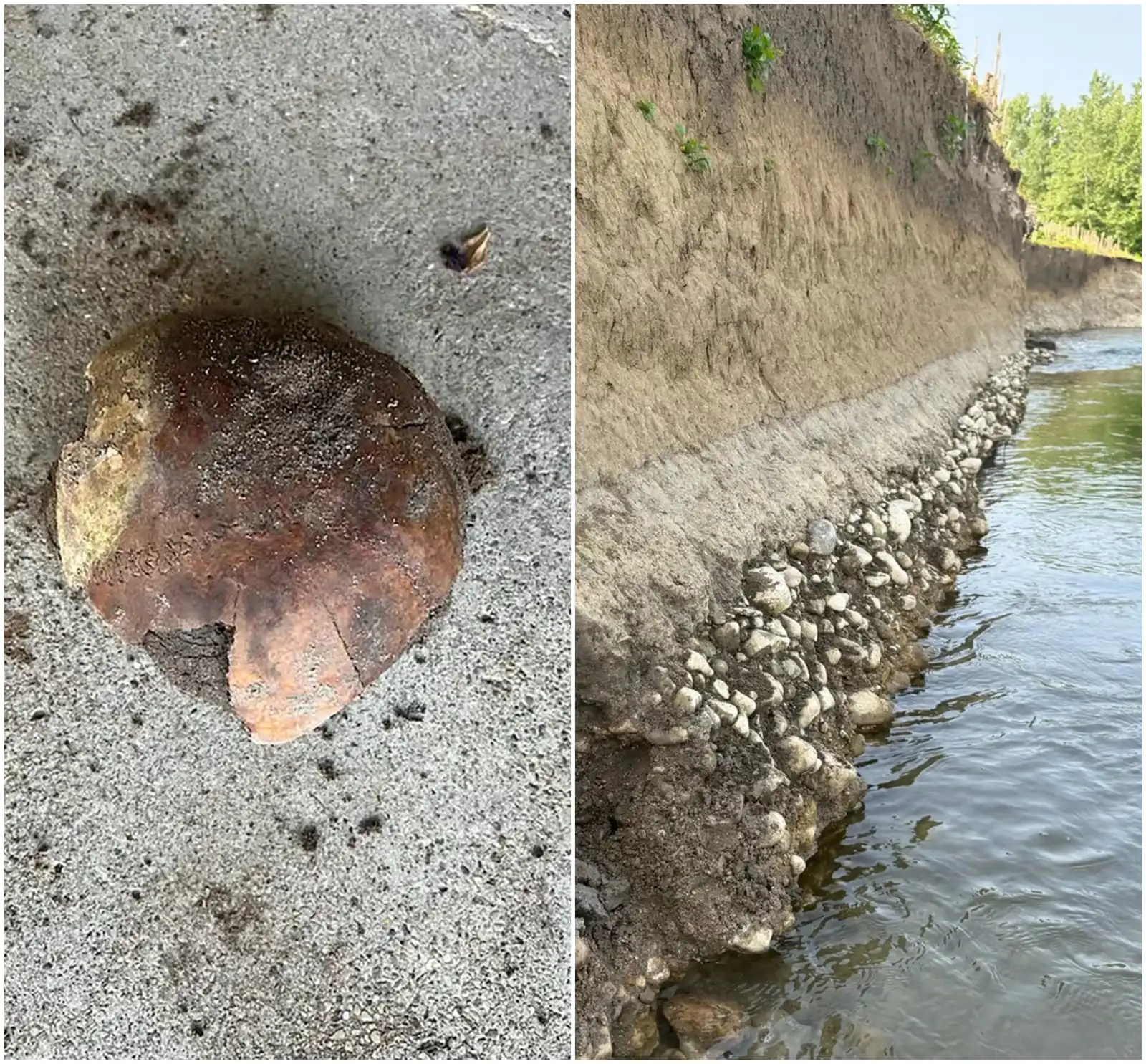 الجمجمة التي تم اكتشافها