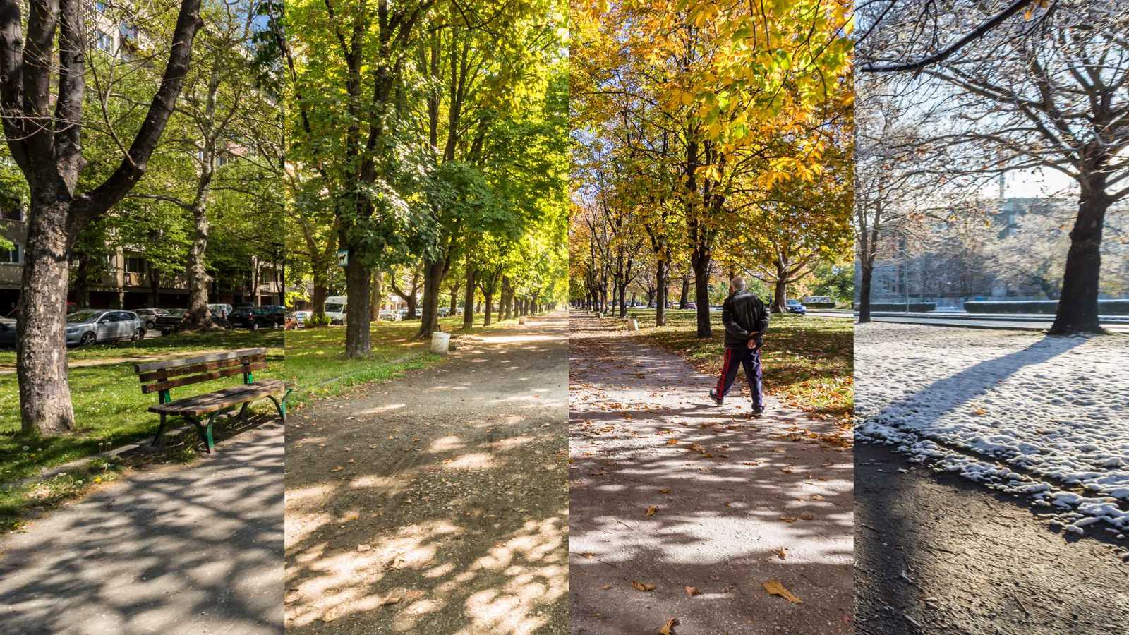 "اختلاف الفصول" يعيد تشكيل النظم البيئية والتنوع الحيوي