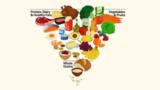 الهرم الغذائي الجديد