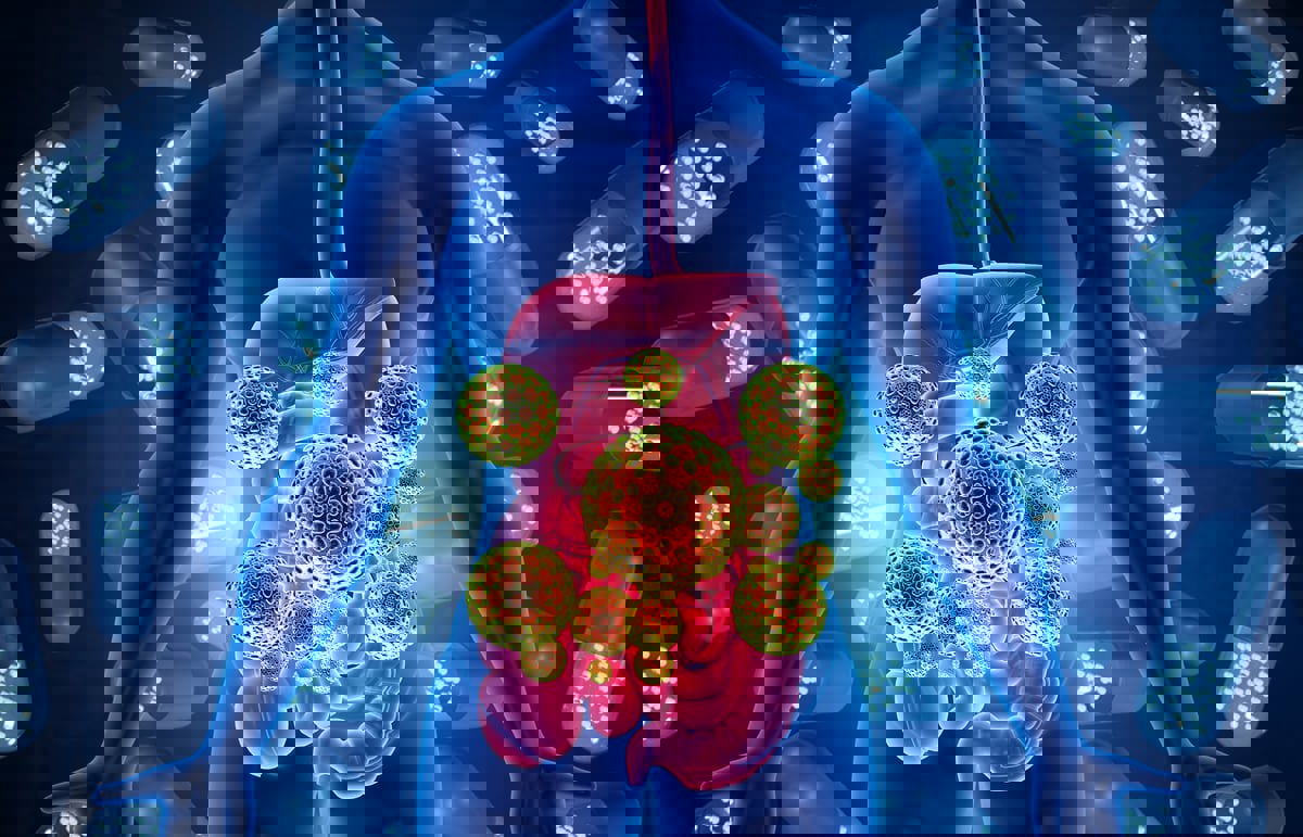 ما علاقة الكائنات الدقيقة في الأمعاء بتطور الزهايمر؟