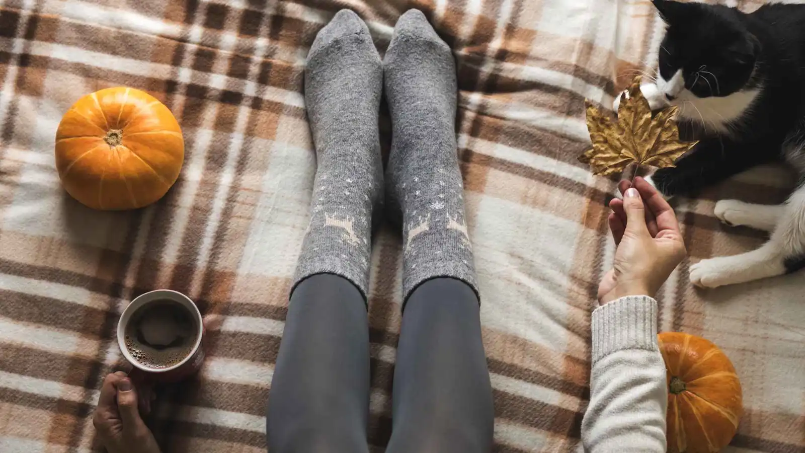 "كسل اليقطين".. خطوات بسيطة لتجاوز إرهاق الخريف