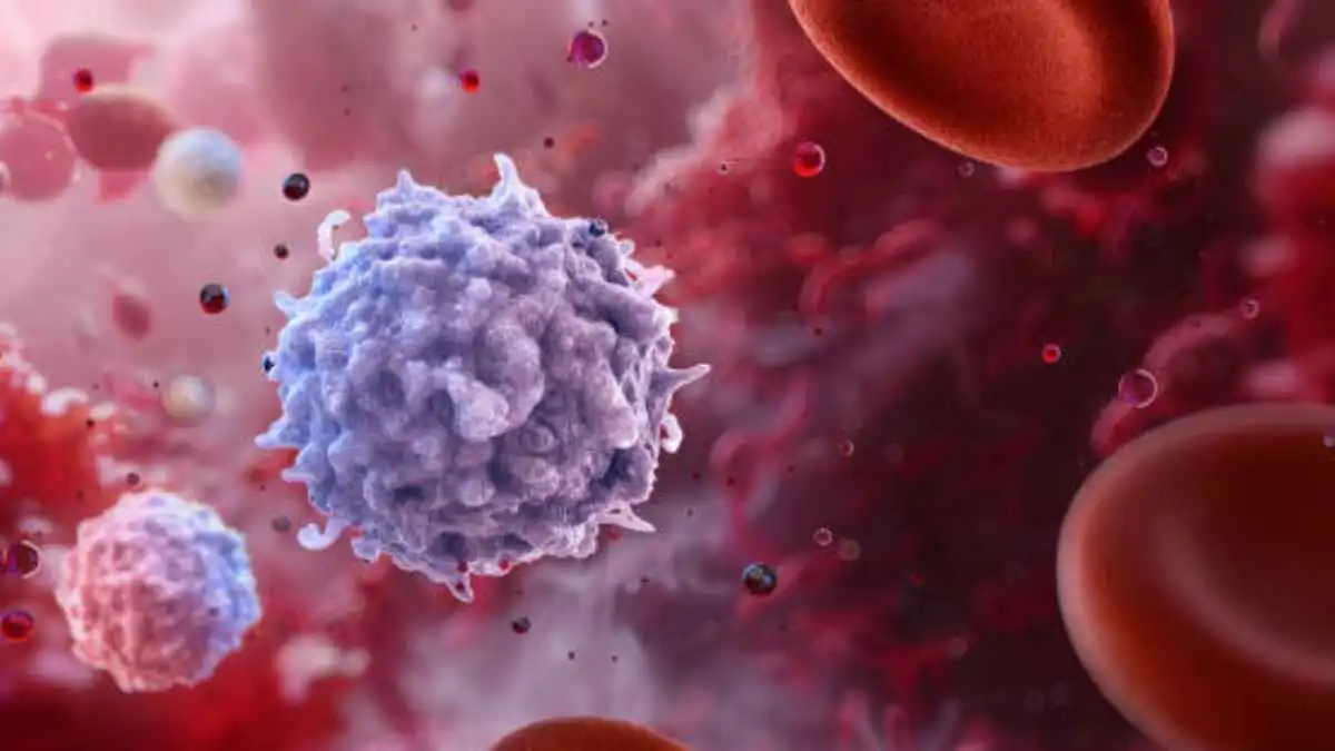 اختراق في علم المناعة يفتح الباب لجيل جديد من العلاجات‎