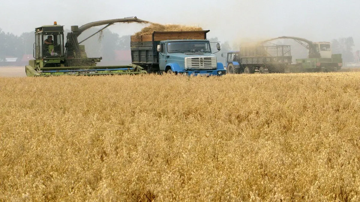 لمواجهة تداعيات "كورونا".. مصر ترفع وارداتها من القمح 40%