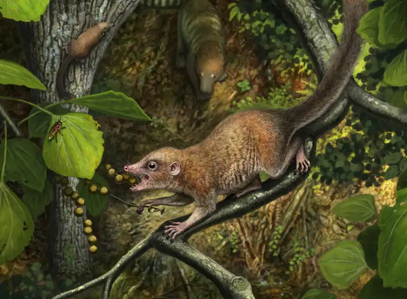 رسم تصوري لحيوان الـ"بورغاتوريوس"