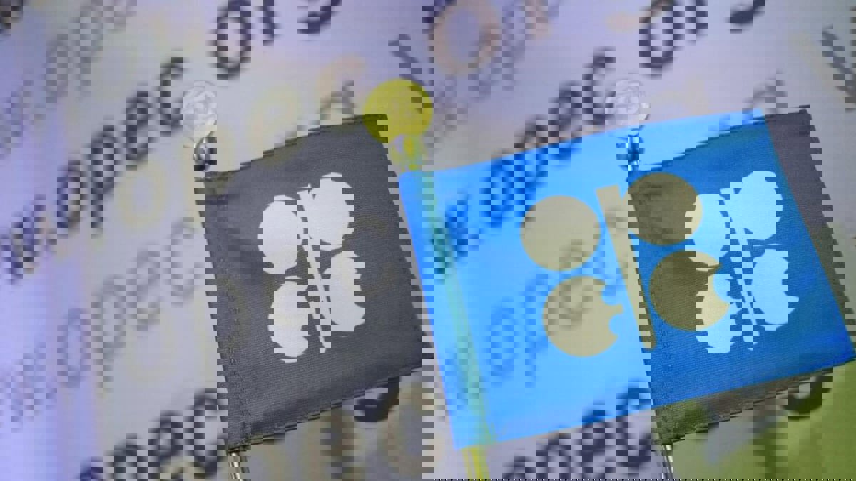 مصدران: سياسة "أوبك+" ليست مسؤولة عن ارتفاع أسعار النفط