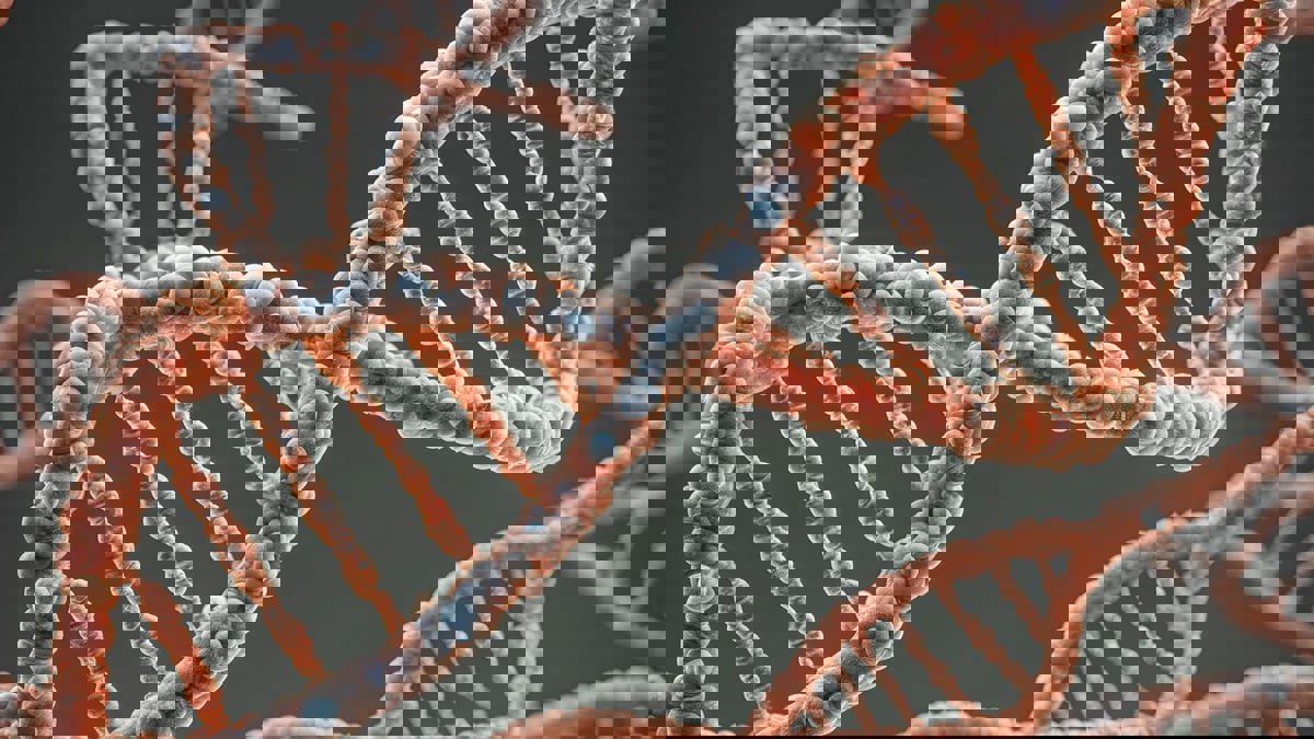 فحص الحمض النووي يفك لغز جريمة ارتكبت قبل 6 عقود 